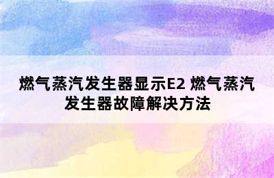 燃气蒸汽发生器显示E2 燃气蒸汽发生器故障解决方法